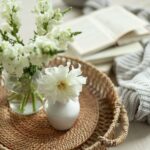 Best Serena and Lily Dupes:Affordable Luxury for Your Home