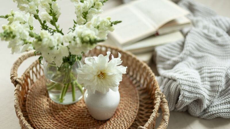 Best Serena and Lily Dupes:Affordable Luxury for Your Home