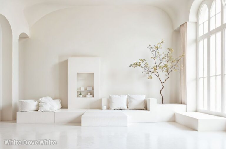 White Dove White The Soft Elegant Shade That Complete Home