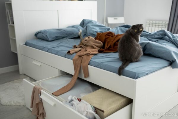 queen captains bed