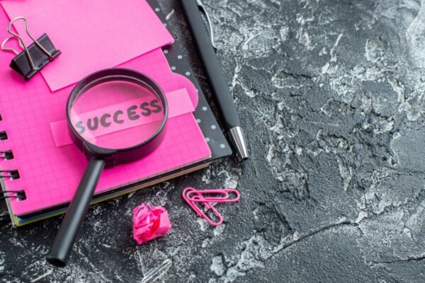 Success100x.com Goals