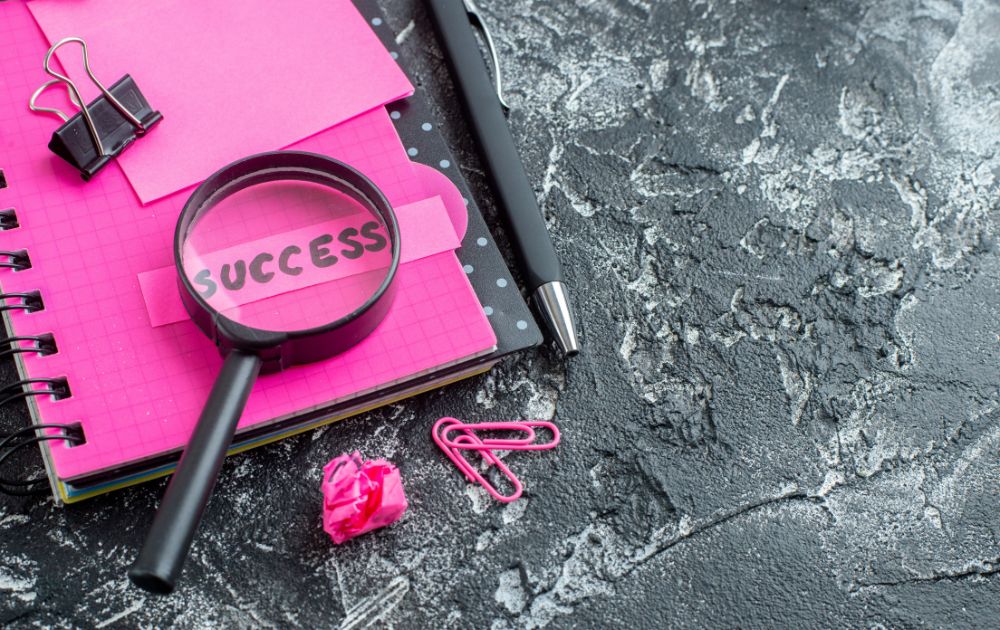 Success100x.com Goals